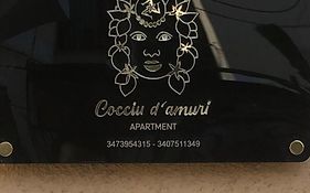 Cocciu D'Amuri Apartment